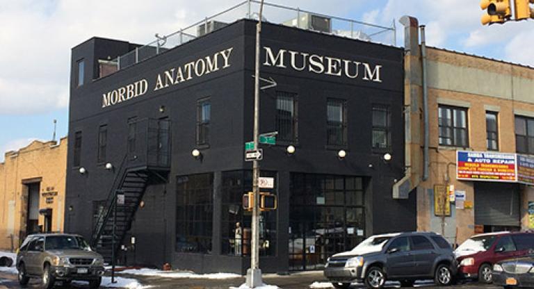 Morbid Anatomy Museum